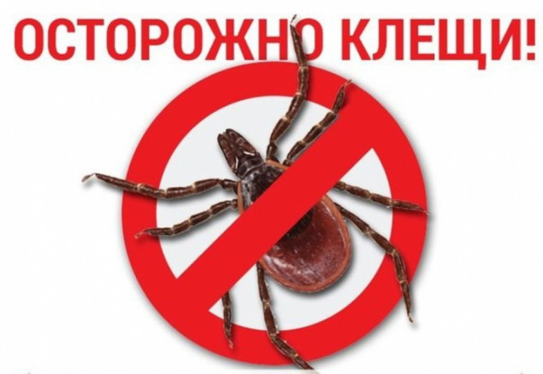 Осторожно, клещи!!!.